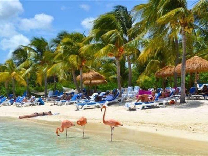 Aruba Blue Village Hotel And Apartments Palm Beach Exterior photo